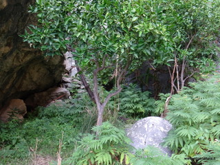 stoleone-09-08-2020 09